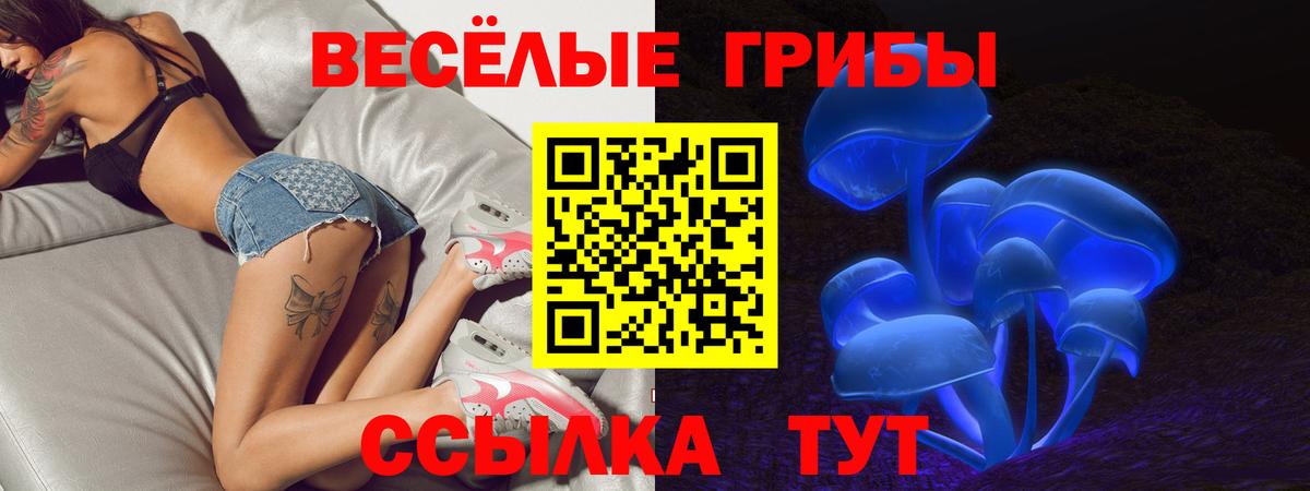 Псилоцибиновые грибы мухоморы  Галлюциногенные грибы GOLDEN TEACHER  Вход с VPN  Истра 